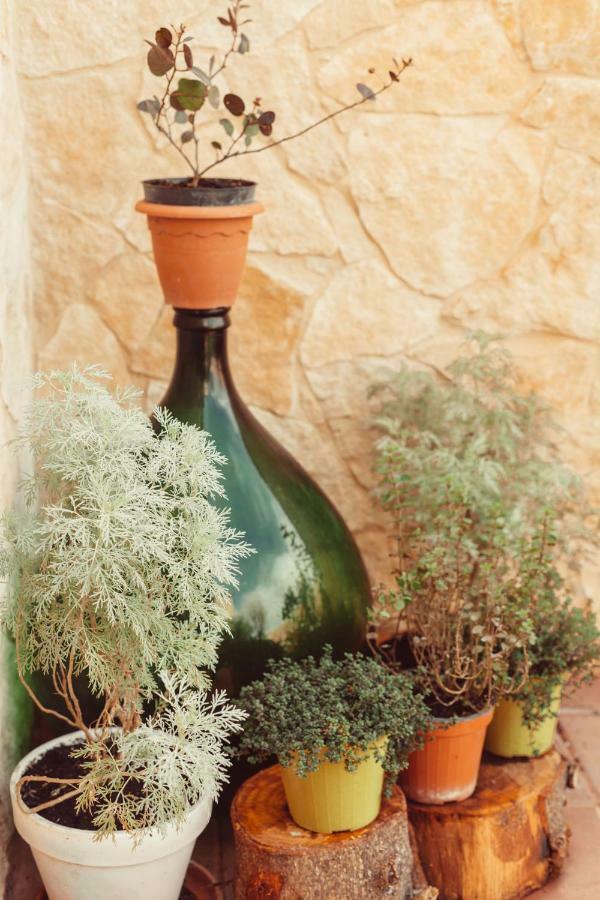 Bed & Breakfast Artemisia