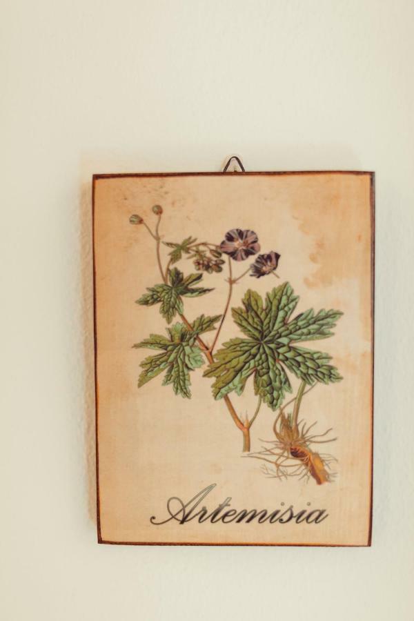 Couette-café Artemisia *